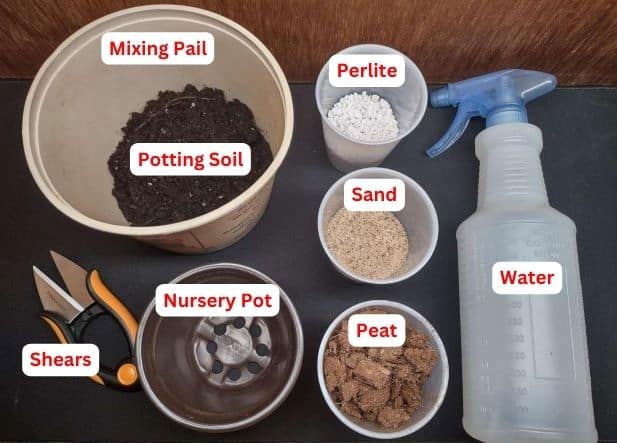 Supplies for learning how to propagate a string of turtles