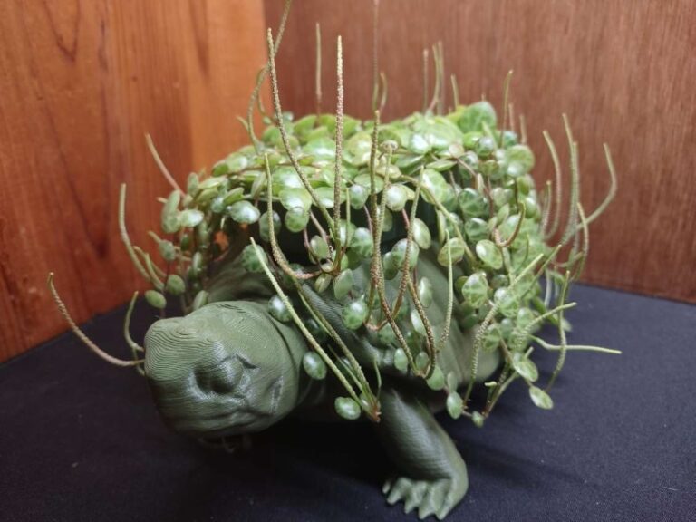 How to Propagate String of Turtles