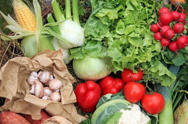 Highest Yielding Vegetable Plants